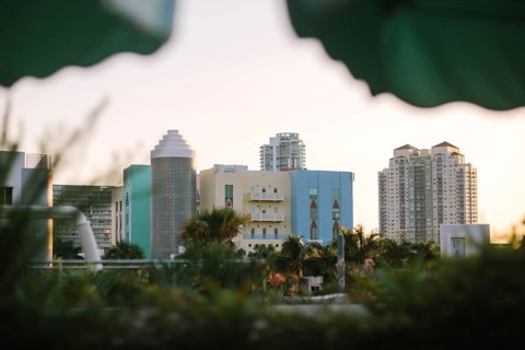 The Miami skyline bathes in the warm glow of sunset, framed by tropical leaves. This serene