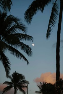 A serene late evening view on Miami Beach showcasing a softly glowing moon amidst the silhouettes