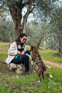 A woman sits on a rock under olive trees, training her dog to sit by offering a treat. The lush