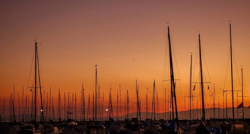 Serene sunset view over Lake Leman featuring multiple sailboat masts silhouetted against a vivid