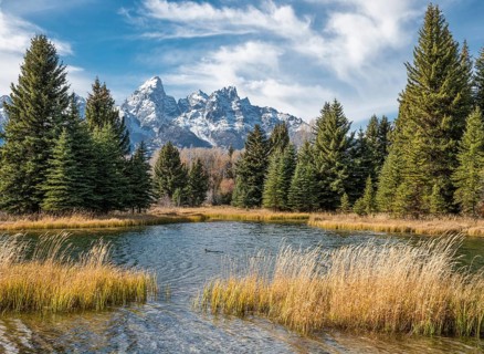 The stunning peaks of Grand Teton National Park tower over a tranquil pond surrounded by dense