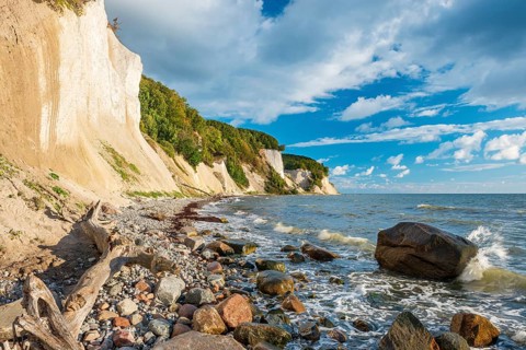 Chalk cliffs and rocky beach with boulders and tree trunks on the Baltic Sea under blue sky with