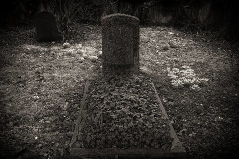 Snowdrop (Galanthus nivalis) gravestones, graves, Historic Old Cemetery, black and white, Fellbach,