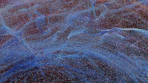This captivating background showcases a dynamic array of particles in motion, creating a