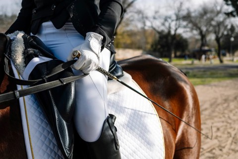 Cropped unrecognizable person engaged in classical dressage training, focusing on technique and
