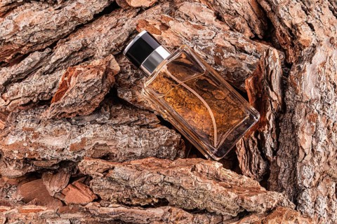 A glass male perfume bottle with amber liquid rests on rugged tree bark, creating a contrast