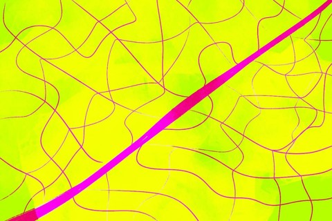 This abstract illustration features vibrant yellow and pink hues with dynamic, intersecting lines