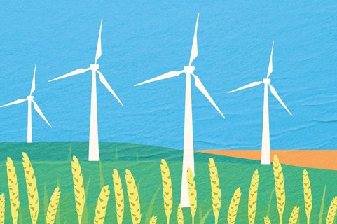 A vibrant energy farm featuring multiple wind turbines surrounded by golden crops under a clear