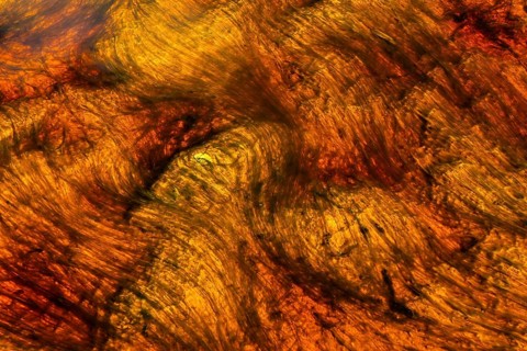 Vibrant abstract patterns created by mineral-rich waters of the Riotinto River in Huelva, Spain The