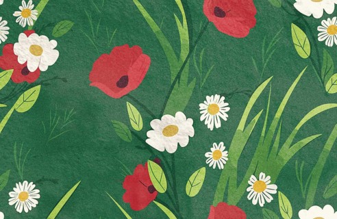 Colorful flowers bloom in spring, featuring red poppies and white daisies surrounded by fresh green