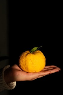 A hand gently cradles a ripe, yellow lemon with a single green leaf, set against a dark,