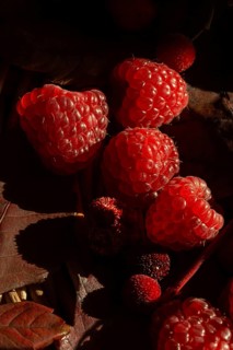Close up of fresh raspberries resting on a dark, rustic background, garnished with autumn leaves.