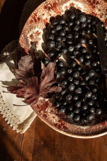 A rustic autumn still life featuring fresh blueberries on a vintage decorative plate. A dry maple