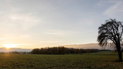 Captivating sunset scene over Lake Geneva with the Swiss Alps in the background, featuring a barren