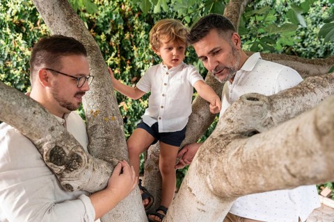 A gay couple enjoys a sunny day with their young son in a tree, exploring outdoors and cherishing