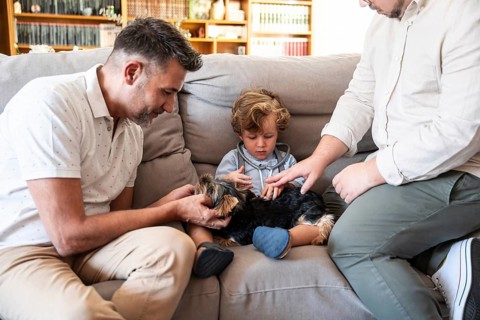 A loving gay couple interacts with their young son and small dog on a cozy couch in their living