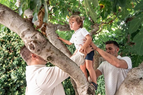 A heartwarming image of a gay couple assisting their young son as he climbs a tree in a lush