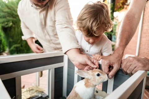 A loving gay couple with their young son enjoys quality time outdoors, interacting with a pet