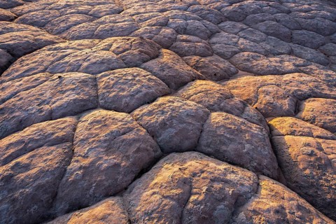 A detailed shot of rugged golden desert sandstone, illuminated by the warm glow of the setting sun,