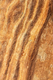 Intricate patterns and vibrant colors of golden desert sandstone, highlighting the natural beauty