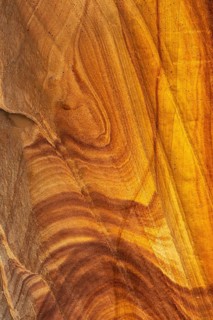 Close-up of golden desert sandstone displaying intricate swirling patterns, rich textures, and warm
