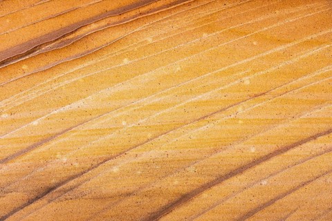 Close-up image showcasing the intricate patterns and warm golden hues of desert sandstone,
