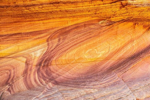 Vibrant and detailed close-up of golden desert sandstone, showcasing natural swirling patterns and