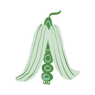 A vibrant illustration of green flowers with a whimsical, modern aesthetic The minimalist design