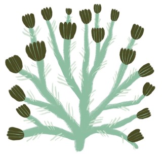 Illustration showcases a stylized depiction of green flowers in an abstract pattern The design