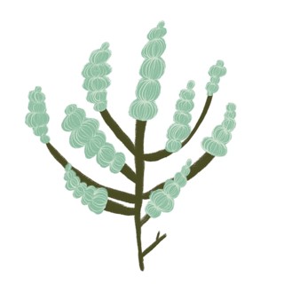 A vibrant green floral illustration showcasing delicate, abstract designs The flowing forms and