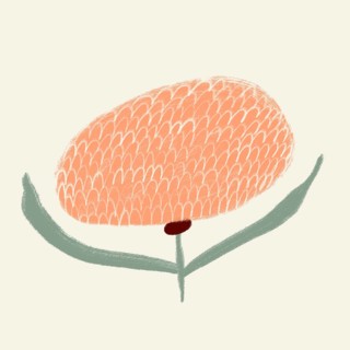 A minimalist, abstract illustration of a spring flower with a plush orange blossom and gentle green