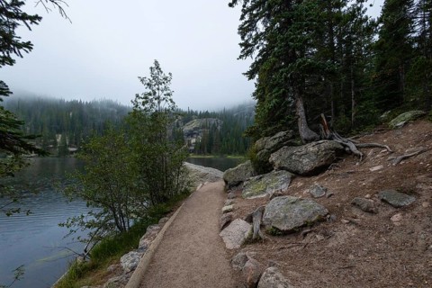 A serene path winds along the edge of a tranquil lake enveloped in mist, with dense forests and