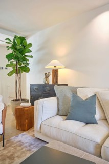 This cozy living room features a stylish beige sofa, a robust green fiddle leaf fig plant, and a