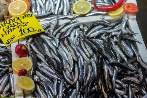 Istanbul, Turkey. November 15th 2023 Fresh Turkish Black Sea Hamsi for sale, a type of anchovy fish