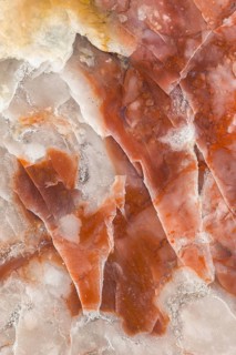 A detailed macro photograph of fossilized dinosaur feces (coprolite), showcasing its layered