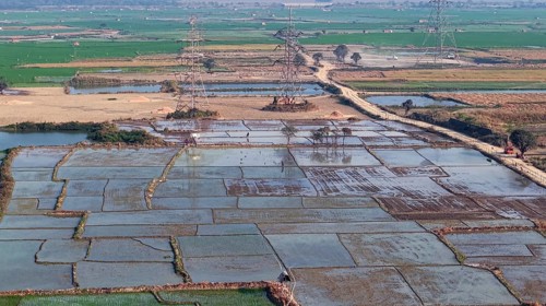 In an aerial view, cultivated rice paddy fields stand on display on February 16, 2026 in Mayong,