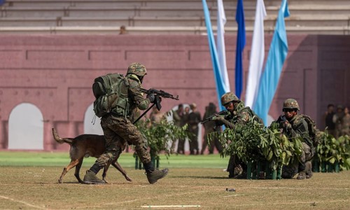 A sniffer dog accompanies personnel of the Central Reserve Police Force during a simulated
