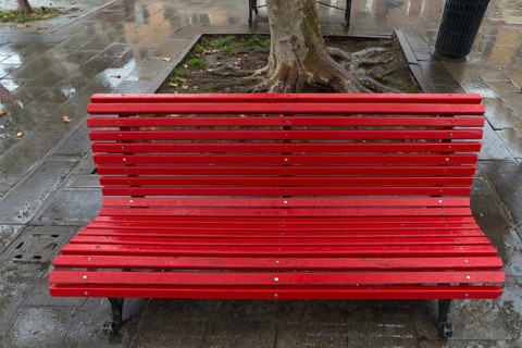 Rain-wet park bench in a square in Venice, Veneto, Italy