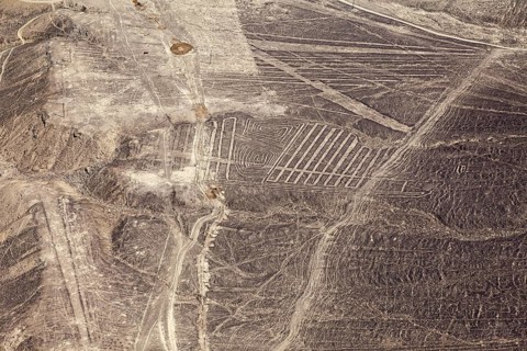 Impressive geoglyphs and line patterns in the dry Nazca Desert, The geoglyphs and drawings in the