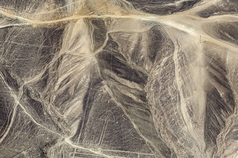 Geoglyphs and line patterns in the sandy and rocky landscape of Nazca, The geoglyphs and drawings