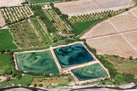 Aerial view of agricultural land with green fields and water, the desert landscape near Nasca in