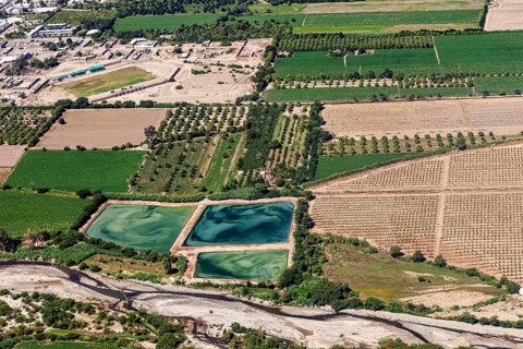 Structured agriculture with green fields and artificial lakes in the landscape, The desert
