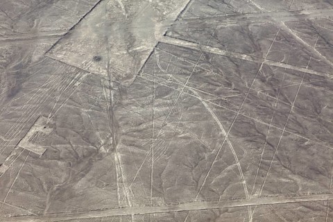 Geometric patterns and lines on a dry, brown desert soil, the geoglyphs and drawings in the desert