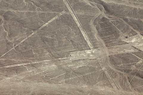 Complex geoglyphs and lines in a sandy desert, The geoglyphs and images in the desert near Nasca