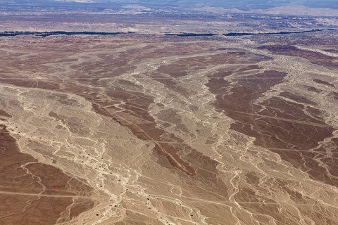 Desert landscape with genetic patterns that criss-cross the soil, the landscape and desert near