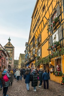 Christmassy decorated half-timbered houses, Christmas market, Riquewihr, Grand Est, Haut-Rhin,