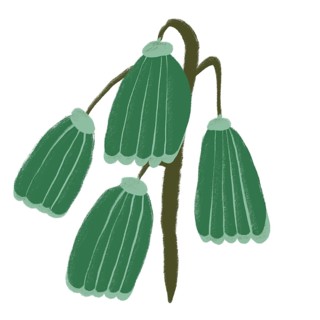 A vibrant green flower illustration depicting abstract, stylized blooms with flowing contours The