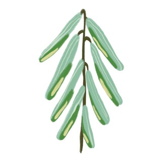 A captivating illustration showcasing delicate green flowers in a minimalist design This artwork