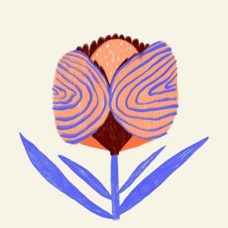 A colorful and abstract illustration of a spring flower featuring swirling patterns in shades of