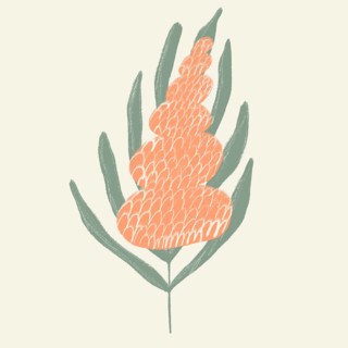A minimalist, hand-drawn illustration featuring abstract spring flowers with soft orange petals and